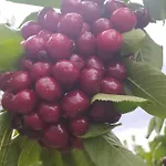 Appartamento Rincon Del Valle Del Jerte