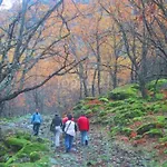 Rincon Del Valle Del Jerte Navaconcejo