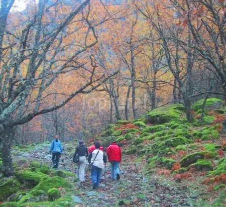 Rincón Del Valle Del Jerte Navaconcejo