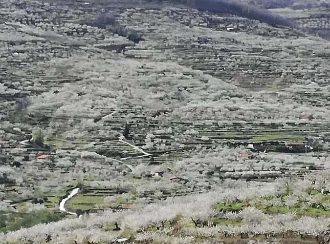 Rincon Del Valle Del Jerte Наваконсехо