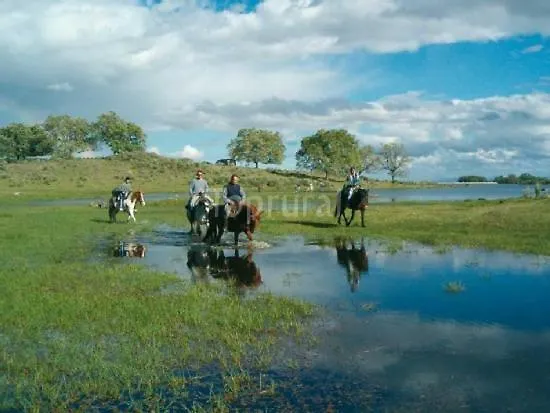Rincon Del Valle Del Jerte Апартаменты Наваконсехо
